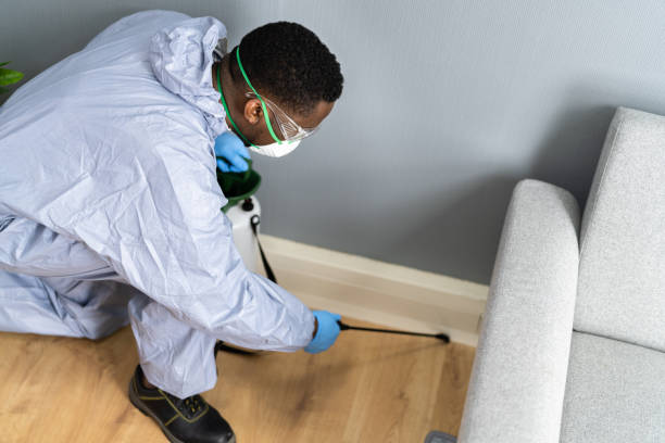 Professional Pest Control in Nicholls, GA